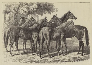 Groep Jaarlingen bij de Verkoop van de Heer Blenkiron, Middle Park, Eltham, Kent